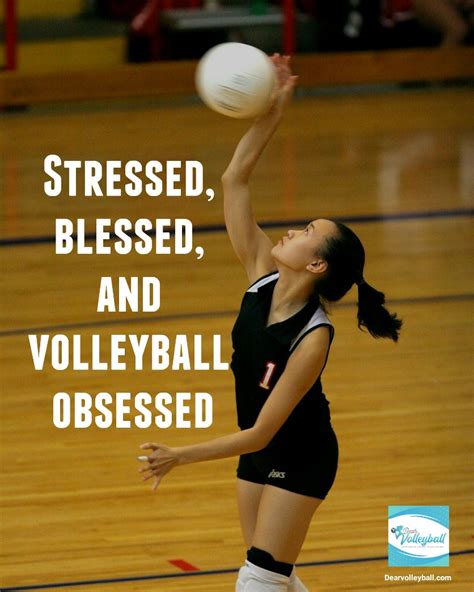 inspirational volleyball quotes|37 Volleyball Motivational Quotes and Images That .